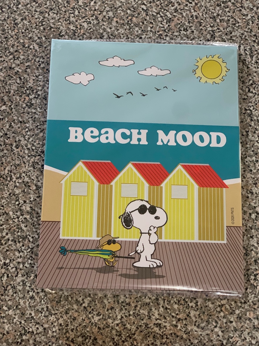 Peanuts Beach Snoopy Binder 2 Ring Binder - Light Blue Pink Yellow Orange